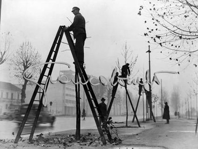 Trees pruning. Milan, 1949